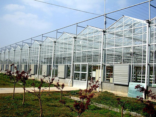 贵州玻璃温室建设