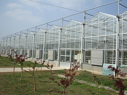 贵州连栋玻璃温室