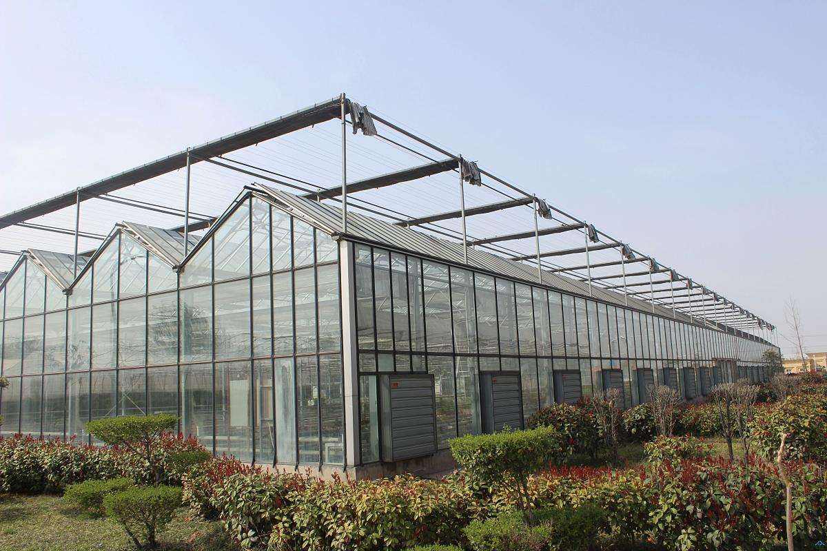 贵州玻璃温室和阳光板温室有哪些区别
